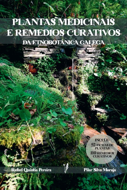 plantas-medicinais-e-remedios-curativos-da-etnobotánica-galega